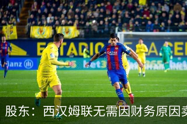 股东：西汉姆联无需因财务原因卖核心球员，要以最快速度重返英超